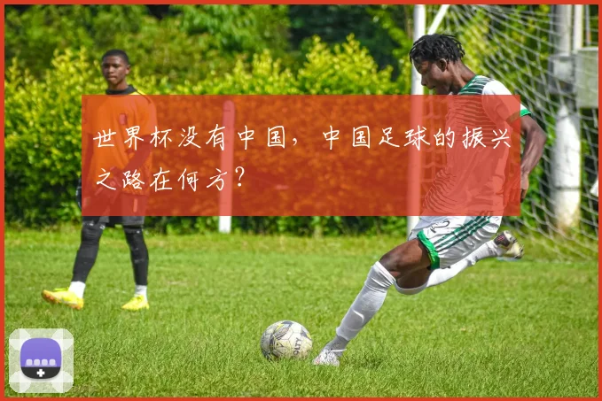 世界杯没有中国，中国足球的振兴之路在何方？