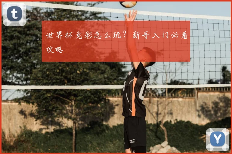 世界杯竞彩怎么玩？新手入门必看攻略