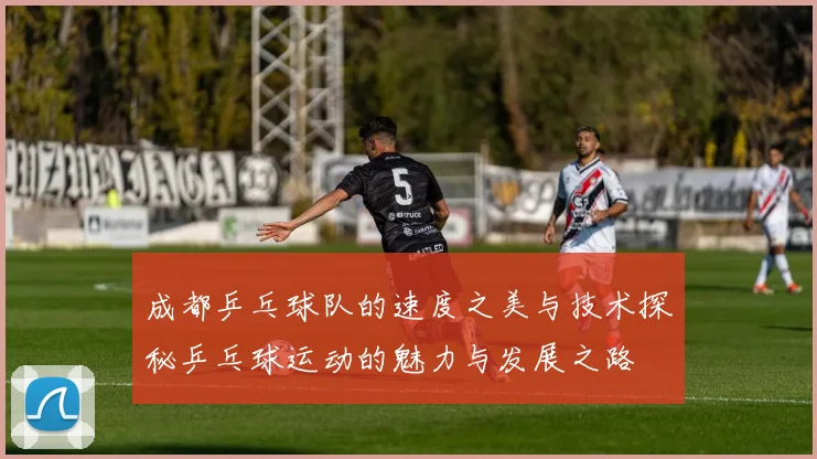 成都乒乓球队的速度之美与技术探秘乒乓球运动的魅力与发展之路