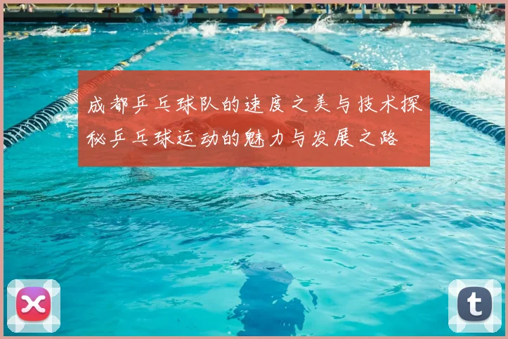 成都乒乓球队的速度之美与技术探秘乒乓球运动的魅力与发展之路