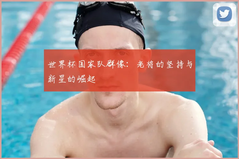 世界杯国家队群像：老将的坚持与新星的崛起