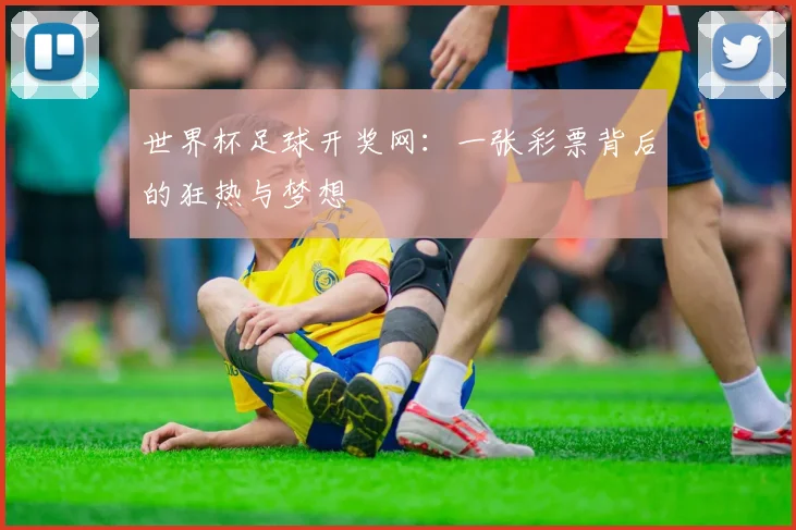 世界杯足球开奖网：一张彩票背后的狂热与梦想