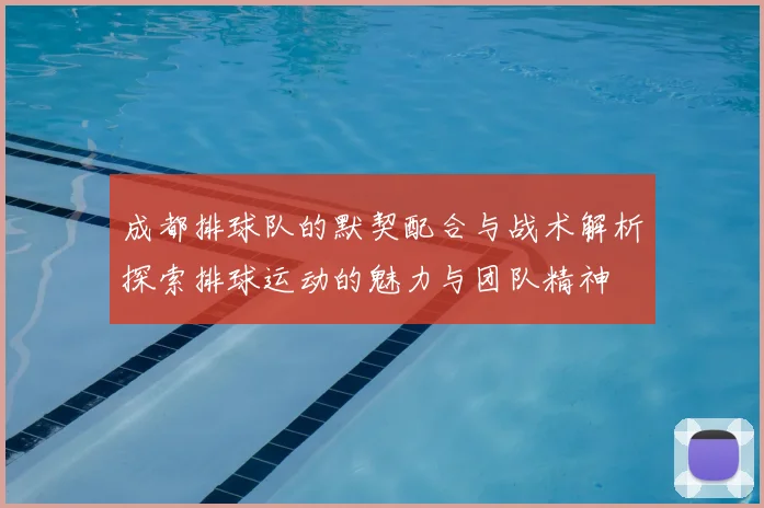 成都排球队的默契配合与战术解析探索排球运动的魅力与团队精神