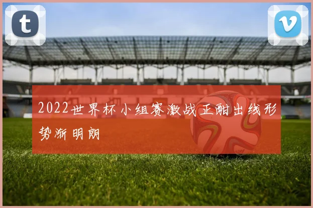 2022世界杯小组赛激战正酣出线形势渐明朗