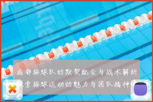 成都排球队的默契配合与战术解析探索排球运动的魅力与团队精神