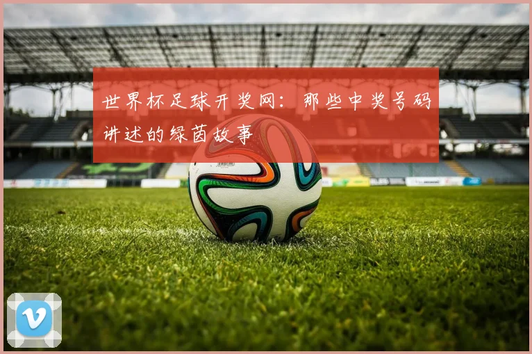 世界杯足球开奖网：那些中奖号码讲述的绿茵故事