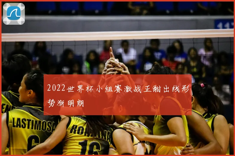 2022世界杯小组赛激战正酣出线形势渐明朗